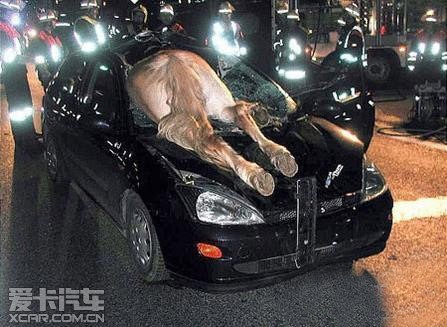 灵异车祸,灵异车祸事件