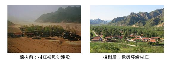 丰田中国的公益理念能给中国北方农村带来什么？