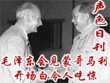 毛泽东见蒙哥马利一语惊人